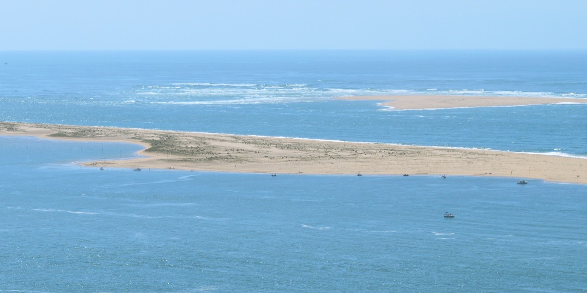 Banc d'Arguin