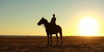 Jumping des Sables Arcachon