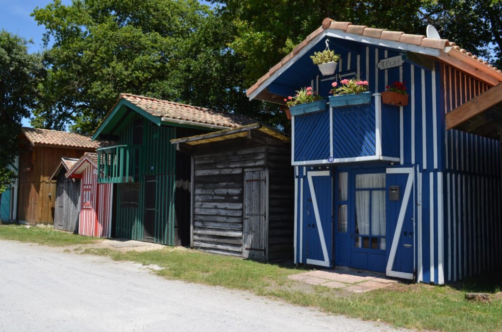 Camping nature activities Bassin d'Arcachon Biganos