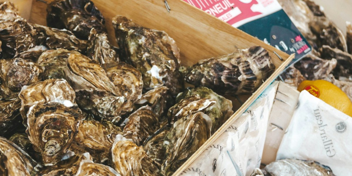 Oysters Arcachon Bay