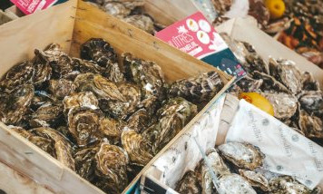 Oyster Arcachon Bay