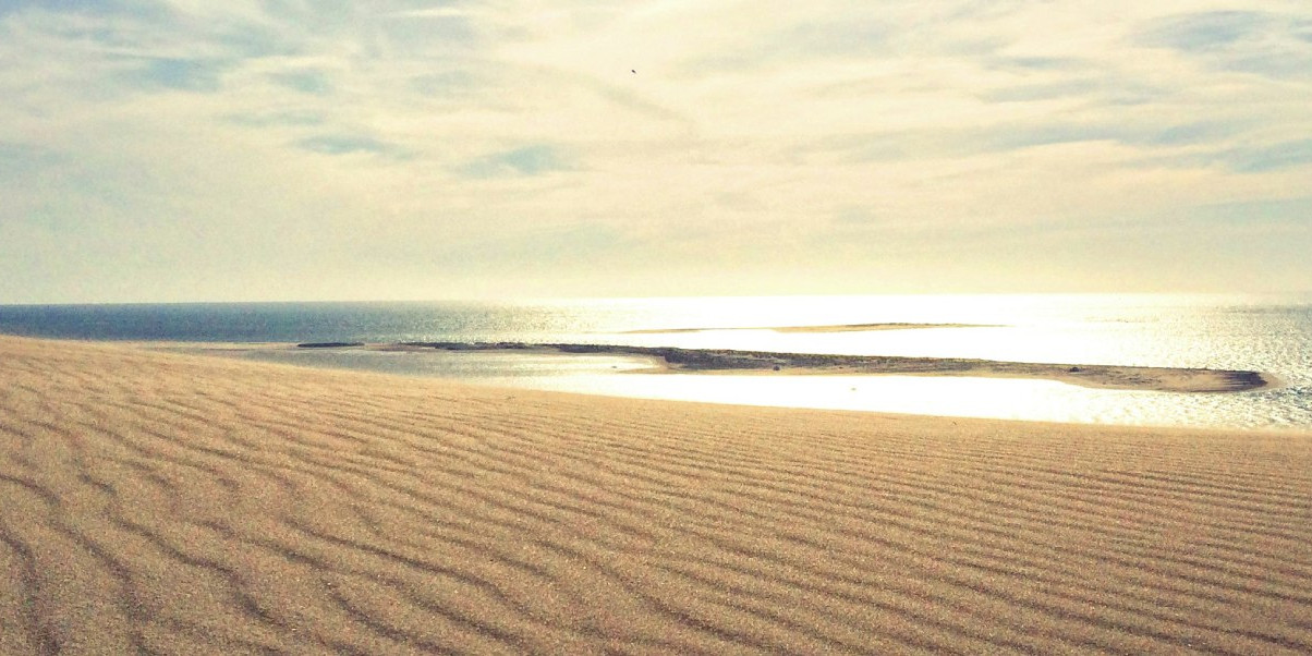 Must-see visit Arcachon