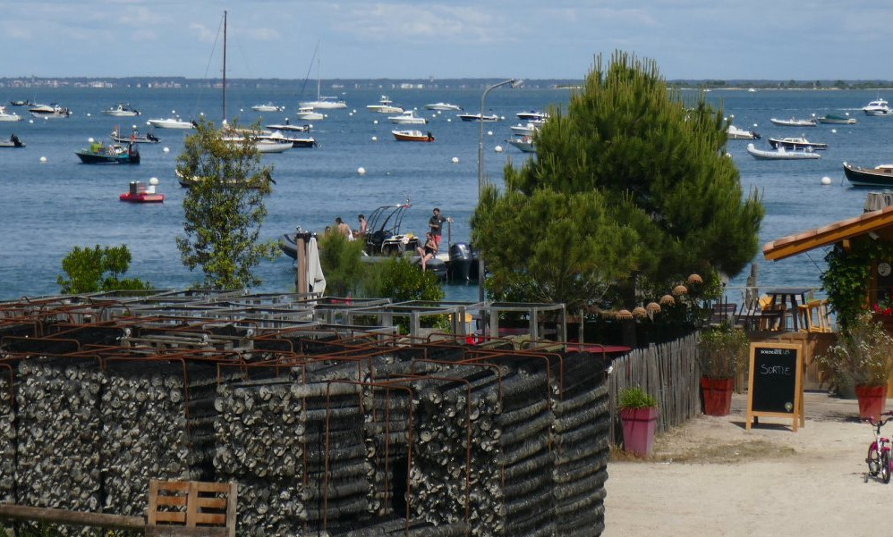 vapen italien Cap Ferret isn't the “French Hamptons” locals once feared it would  become—it's something far more understated. Here, pine forests spill into  oyster villages, dune-backed beaches stretch for miles, and the rhythm of main image 1