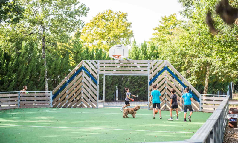 Activities Domaine de la Forge