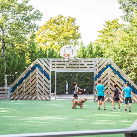 Activities Domaine de la Forge