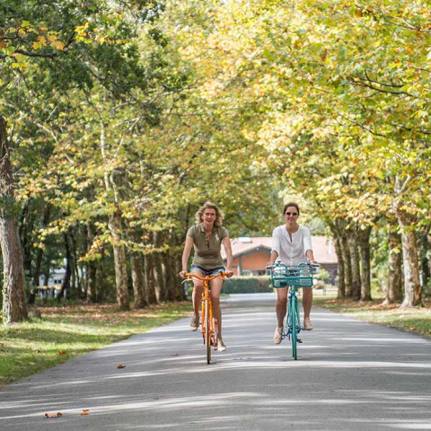 Camping rental Bassin Arcachon