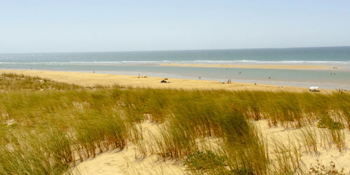 Cap Ferret camping