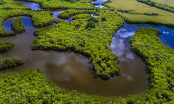 Delta de la Leyre