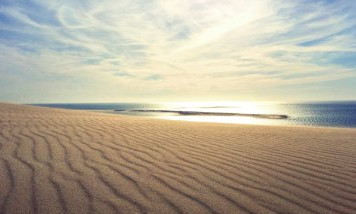 Visita imprescindible Bahía de Arcachon