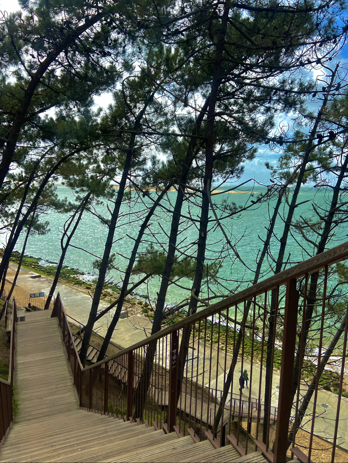 Vacances Gironde camping Bassin d'Arcachon