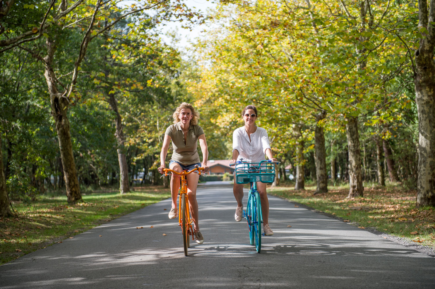 Vélo Domaine de la Forge Bassin d'Arcachon