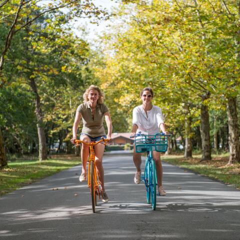 Vélo Domaine de la Forge Bassin d'Arcachon