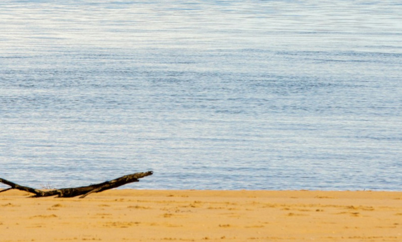 Visites incontournables du Bassin d'Arcachon
