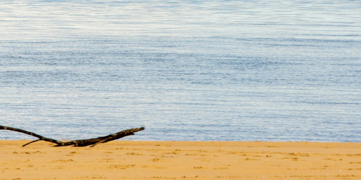 Visites incontournables du Bassin d'Arcachon