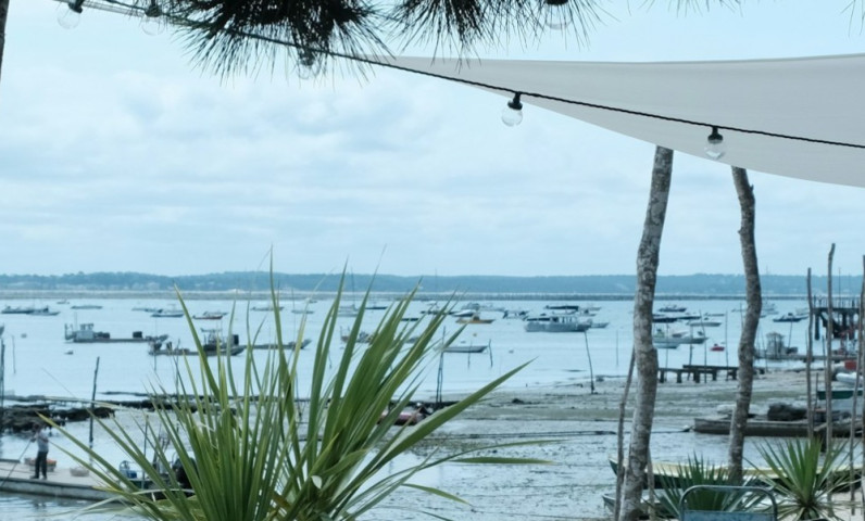 Le Canon au Cap Ferret