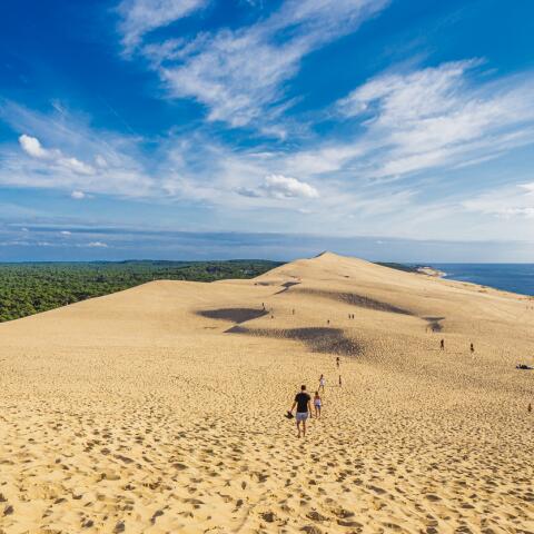 Domaine Forge Dune du Pilat Sunêlia