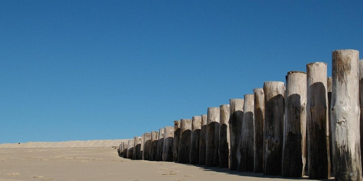 Balades autour du Bassin d'Arcachon