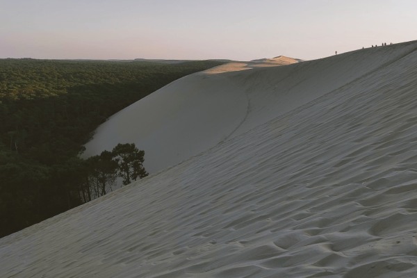 tourisme dune du pilat